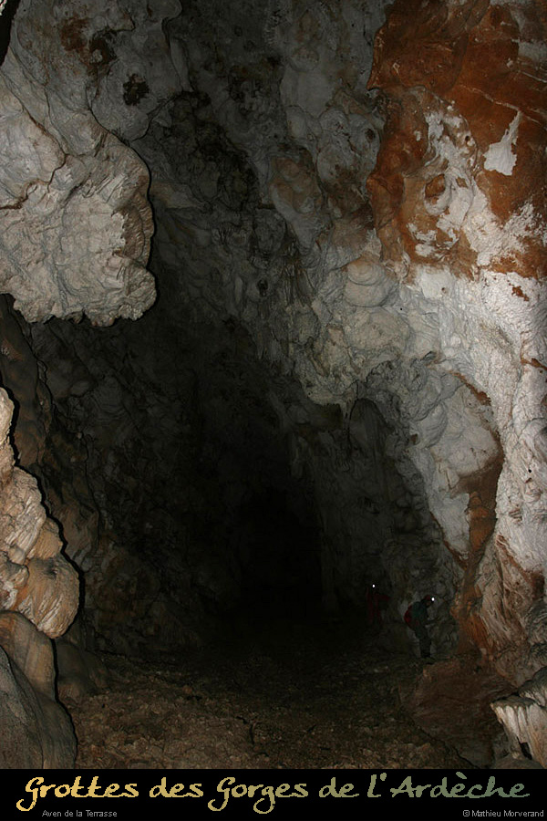 20100204_10