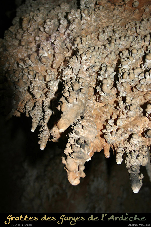 20100204_14