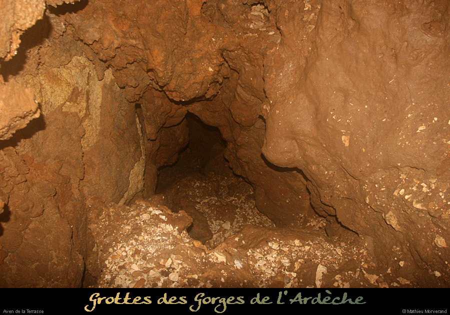 20100204_15