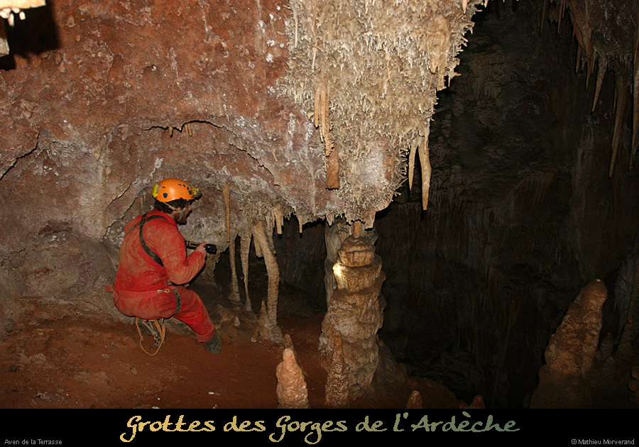 20100204_21