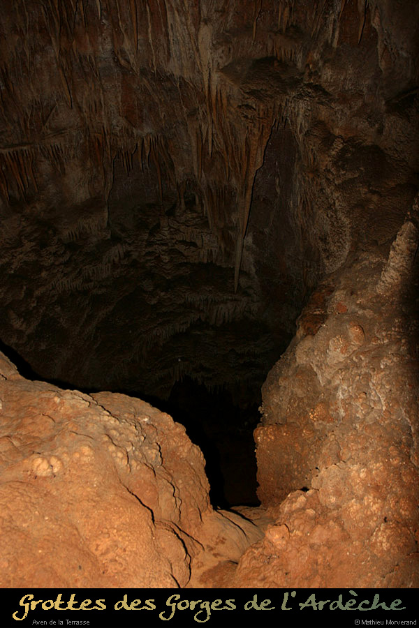 20100204_24