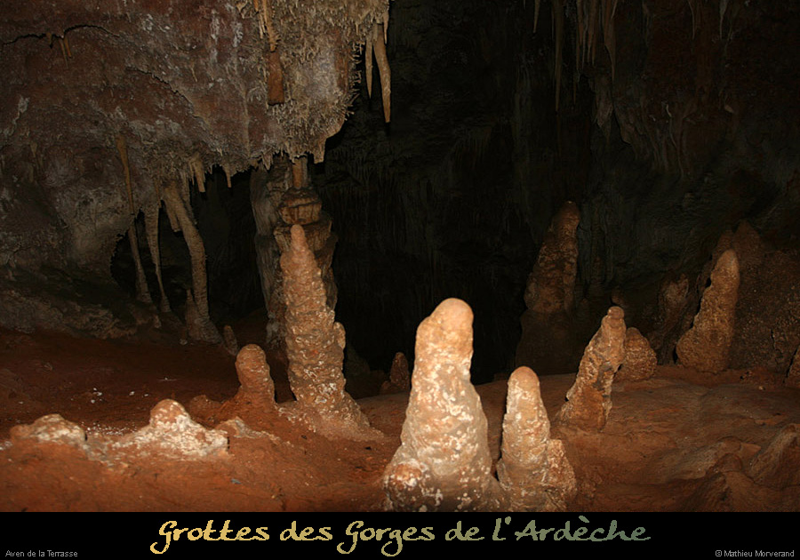 20100204_26