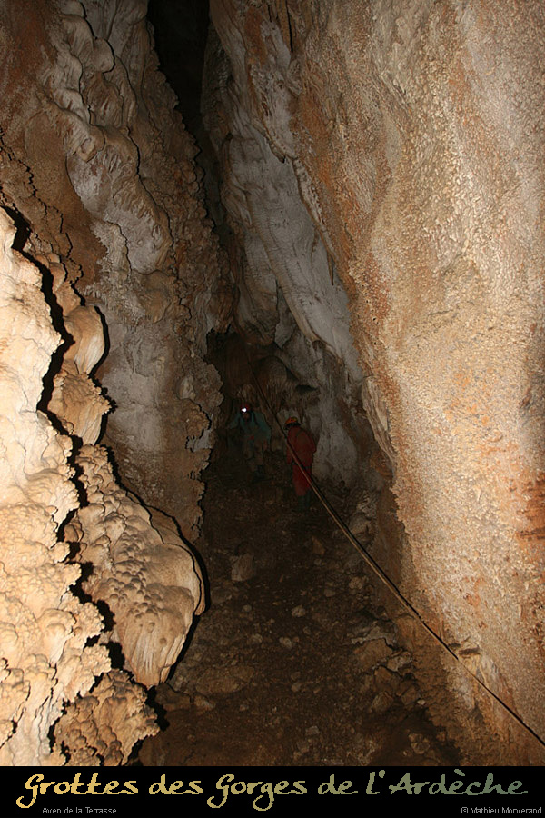 20100204_29