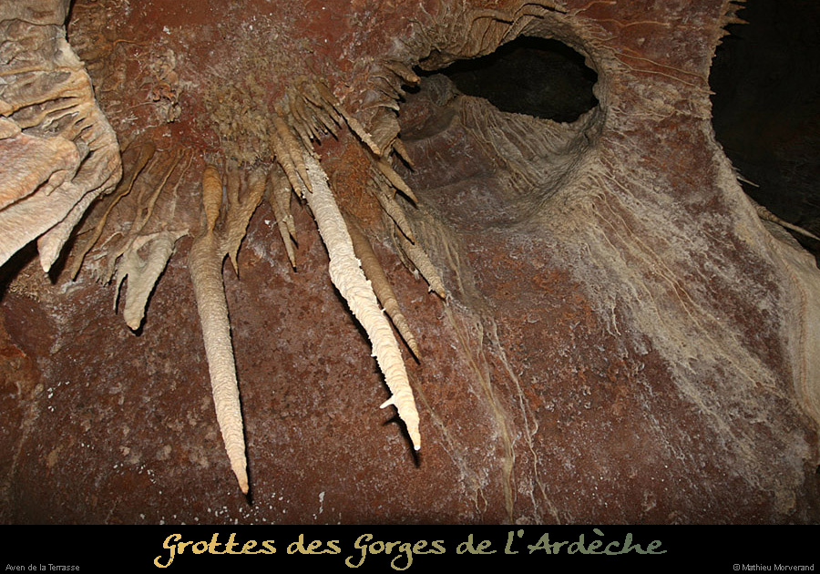 20100204_39