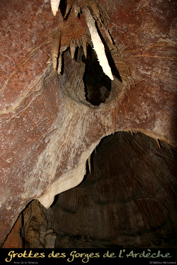 20100204_40