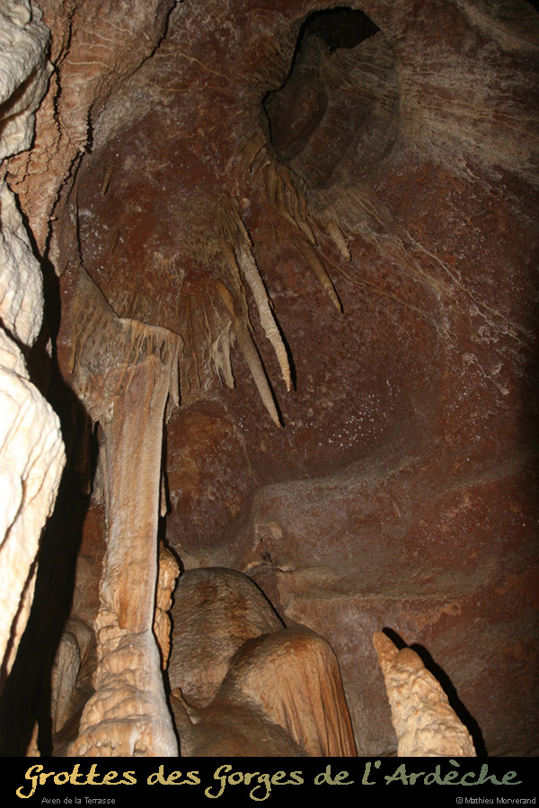 20100204_44