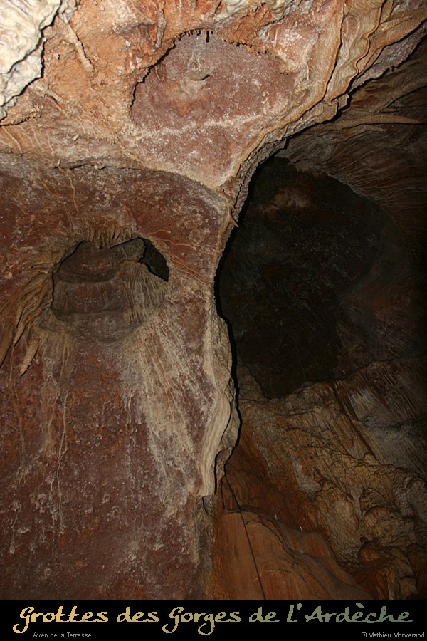 20100204_45