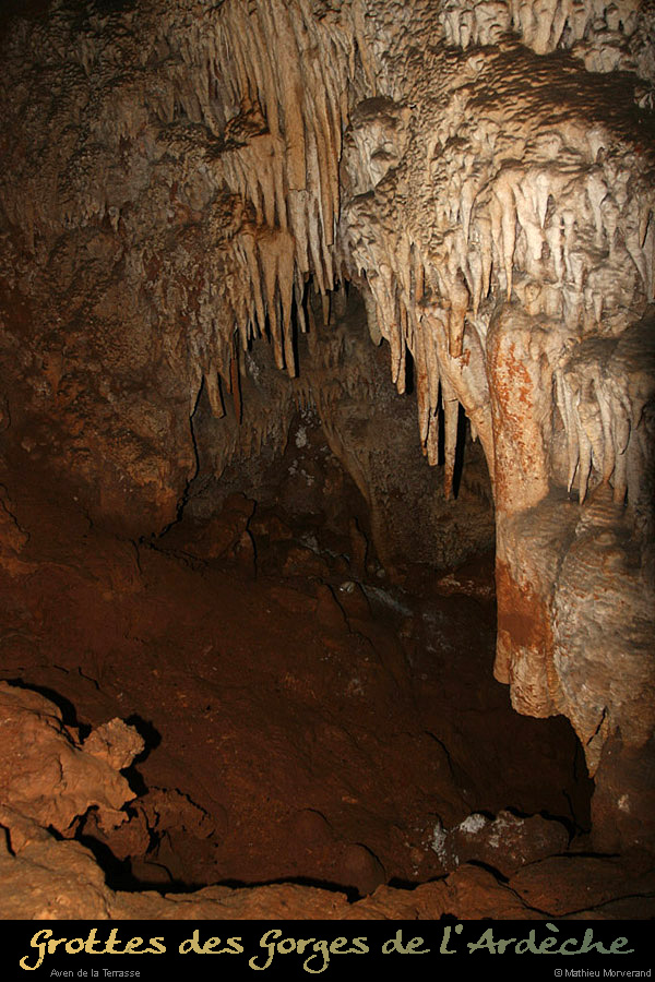 20100204_46