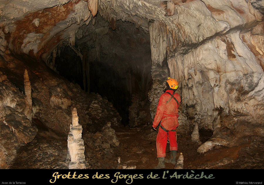 20100204_50