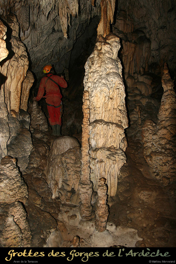 20100204_60