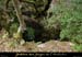 20010901_avendelaterrasse_1