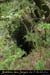 20010901_avendelaterrasse_2