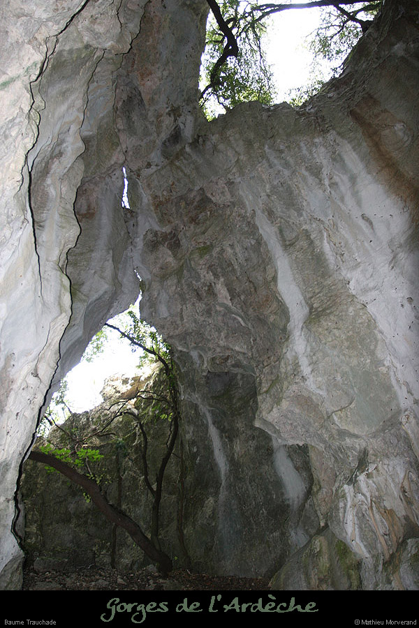 20070630_baumetrauchade1