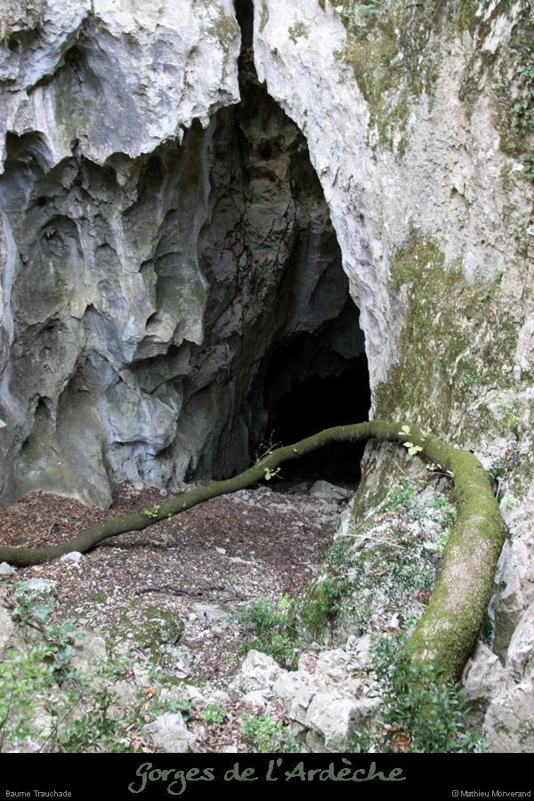 20070715_baumetrauchade3