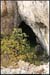 20061119_cirqueestre_baumenw2_1