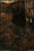 20061119_cirqueestre_baumenw2_in1