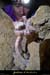 20131111_labeaume_champsauvage_grotte_champignon2