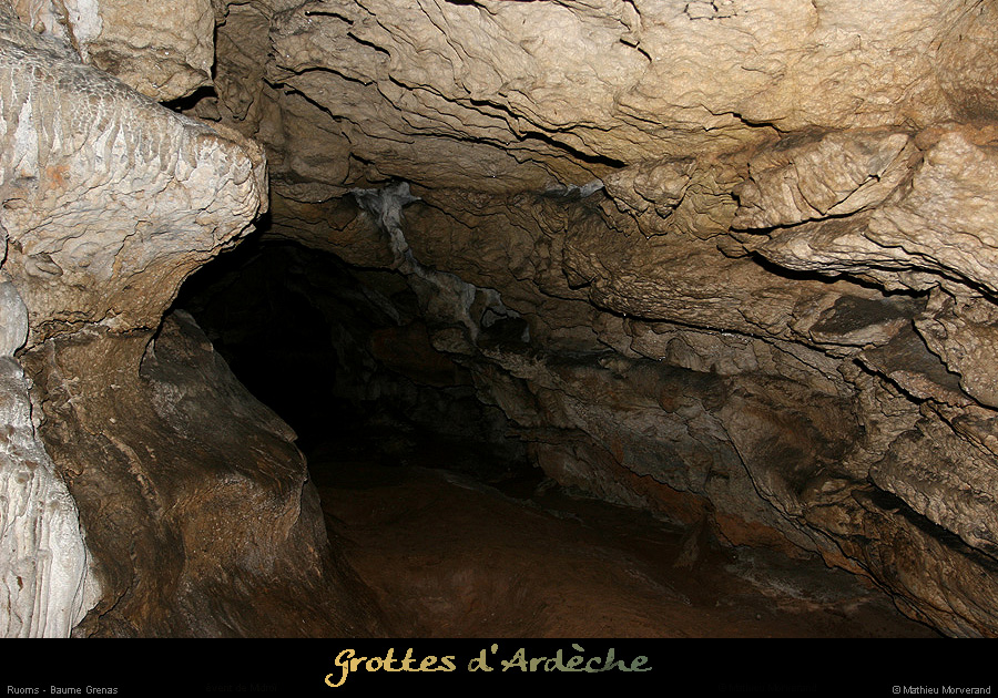 20070803_baumegrenas03