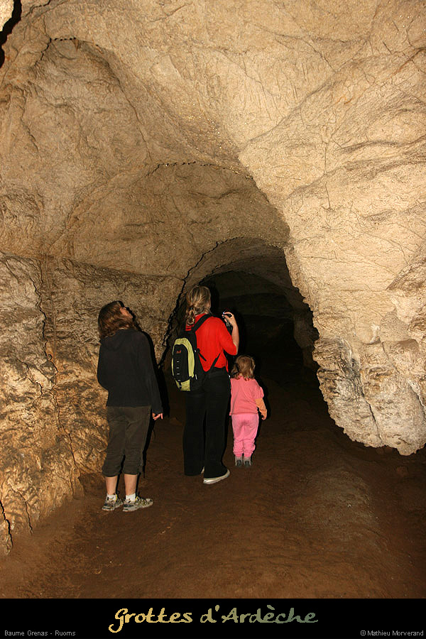 20130601_baumegrenas_in3