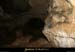 20130601_baumegrenas_in1