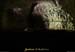 20130601_baumegrenas_sortie1