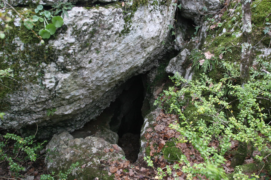 n442808e0041918_001