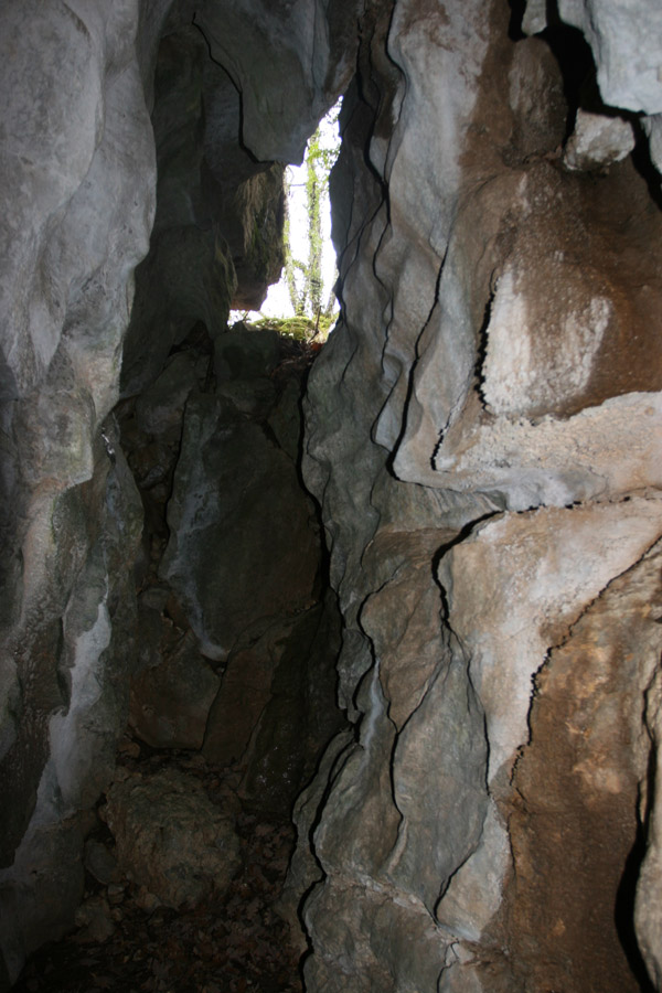 n442808e0041918_004