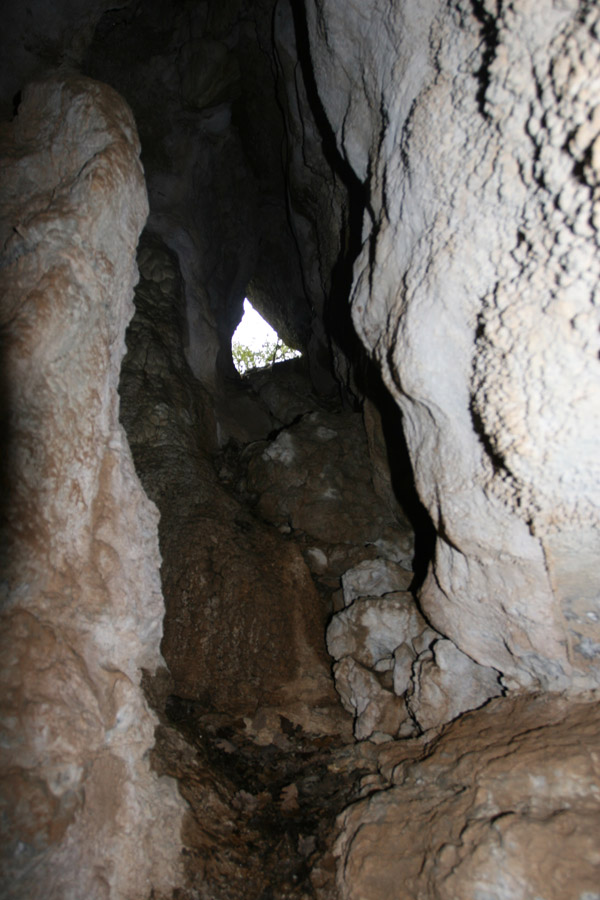 n442808e0041918_005