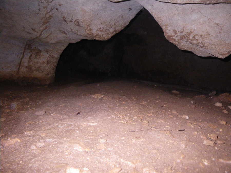 n442808e0041918_011