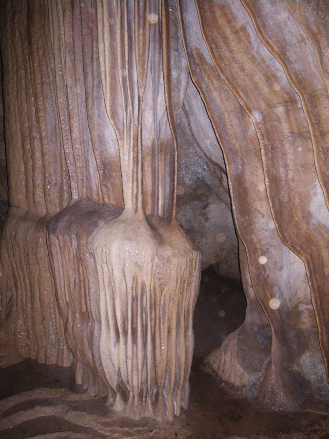 n442808e0041918_021