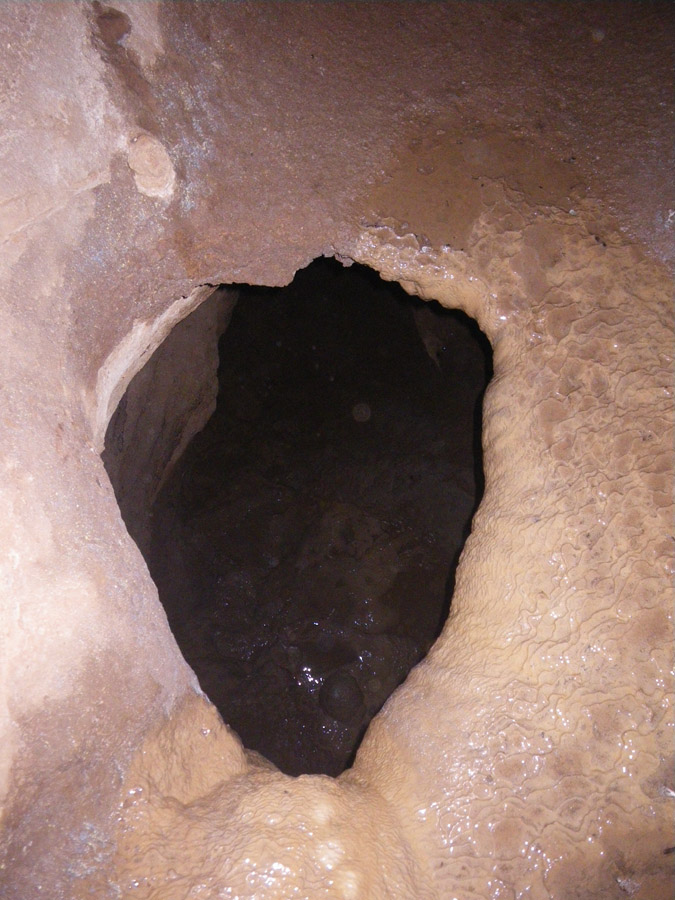n442808e0041918_034