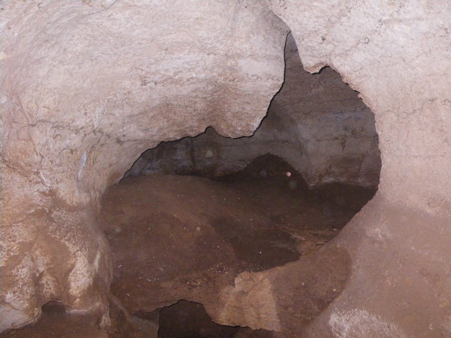 n442808e0041918_037