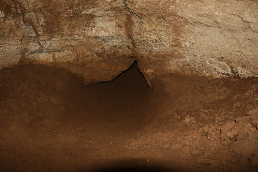 n442808e0041918_050