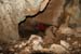 n442808e0041918_008