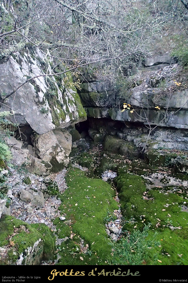 20131116_baumepecher_entree1