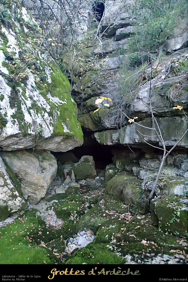 20131116_baumepecher_entree2