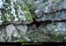 20131116_baumepecher_entree4
