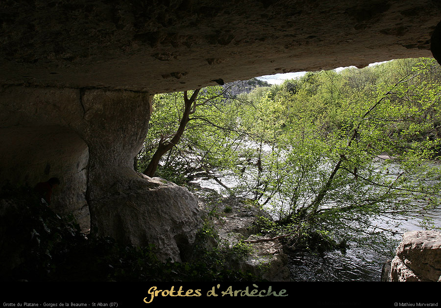 20090418_grotteplataneentree05
