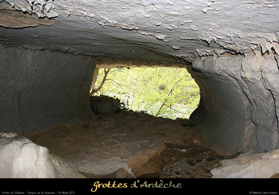 20090418_grotteplataneentree08