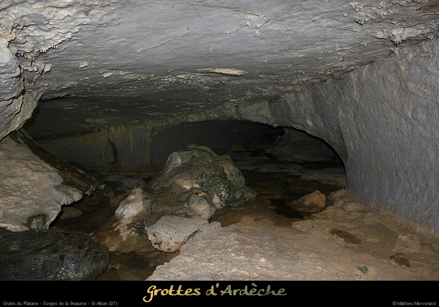 20090418_grotteplatanein02