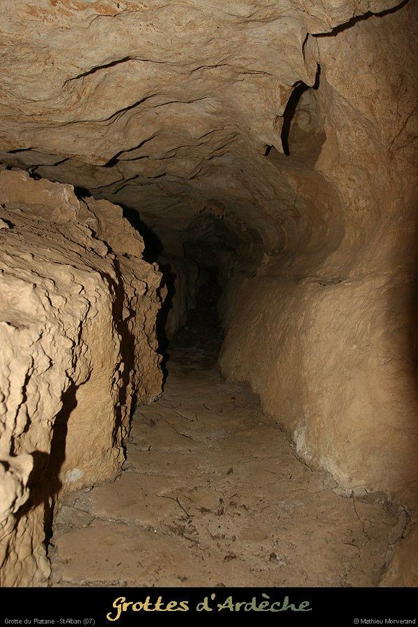20090418_grotteplatanein05