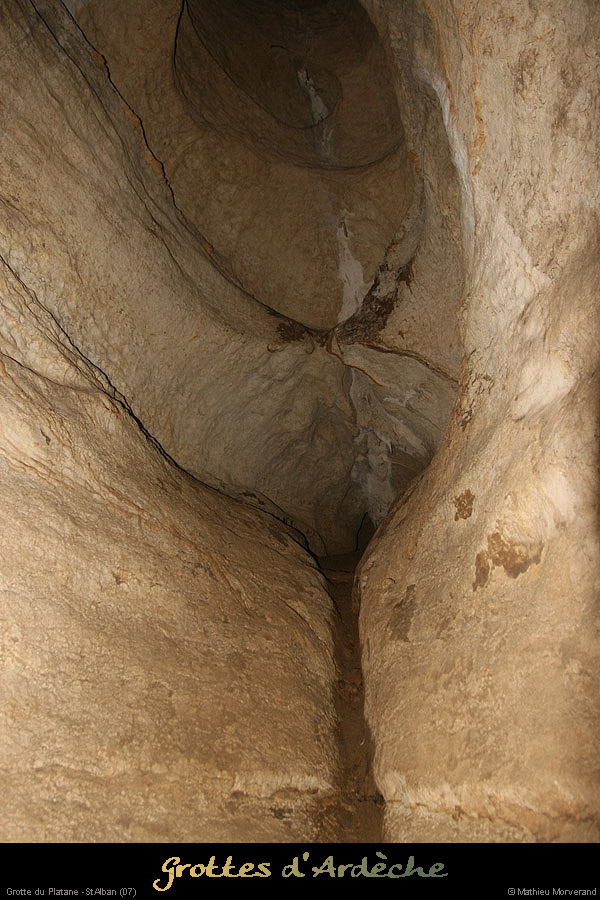 20090418_grotteplatanein12