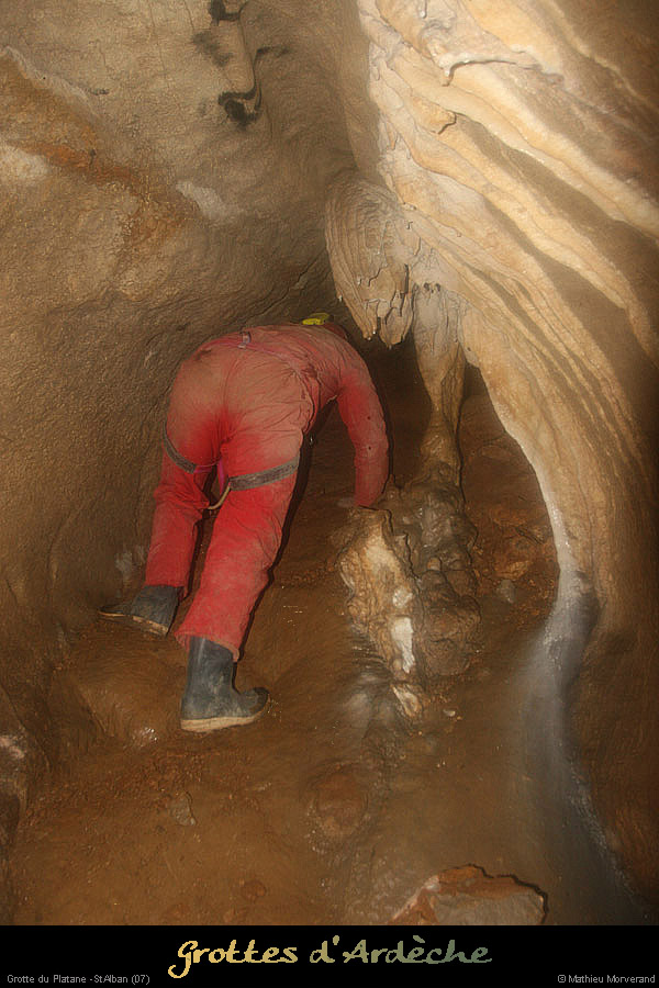 20090418_grotteplatanein30