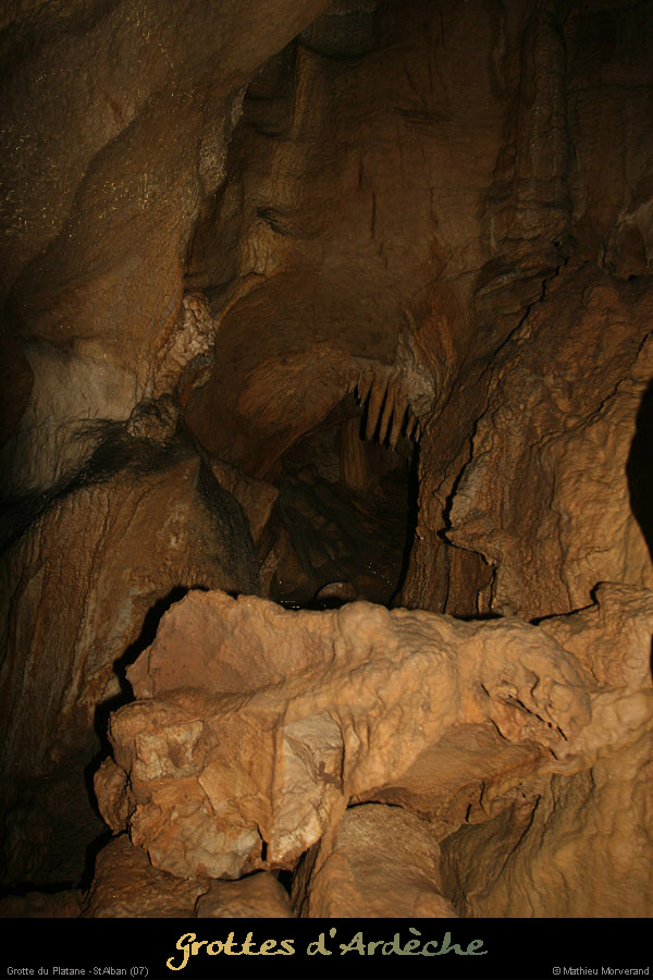 20090418_grotteplatanein37