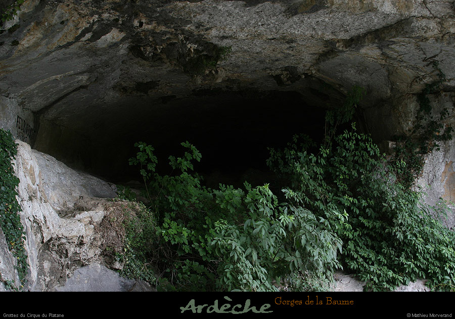 20090607_baume_cirqueplatane_grotte01
