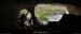 20090418_grotteplataneentree03