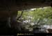 20090418_grotteplataneentree05