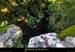 20140726_boisboubouillet_remejadou