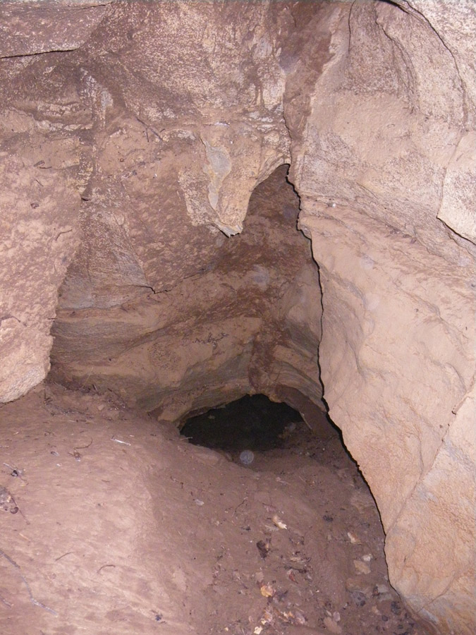 n442821e0041910_004
