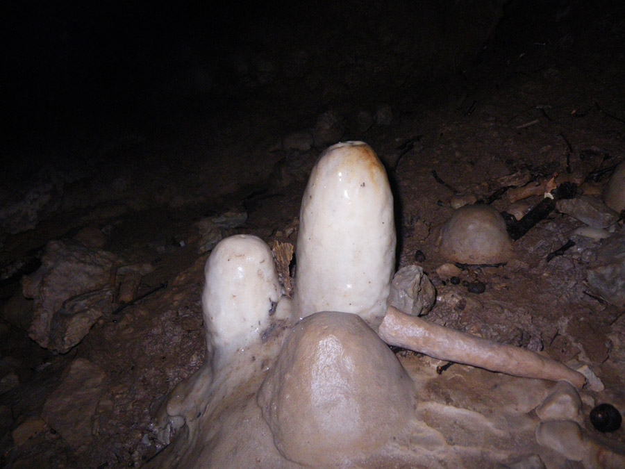 n442821e0041910_007